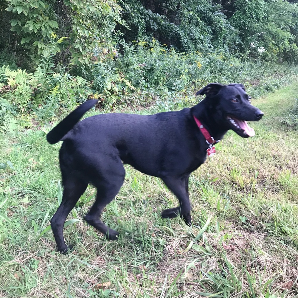 Meet your Posher, Carol